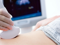 移植後に気を付けるべきこととは