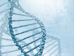 我が子の未来を守る第一歩 着床前遺伝子診断（PGT-M/PGD）